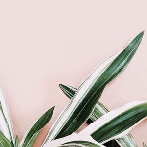 Meet your Posher, Rose